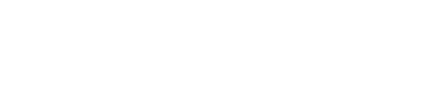 Perfex Data